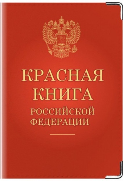 oblozhka-dlya-pasporta-krasnaya-kniga