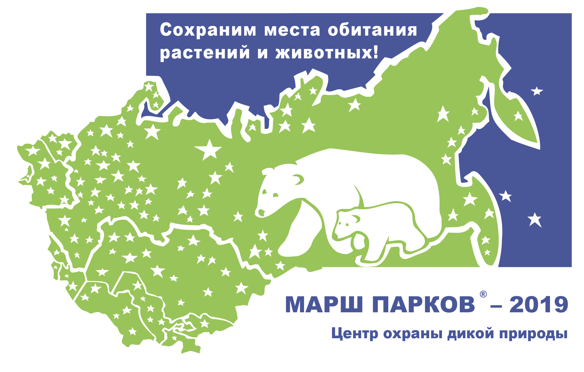 МП логотип-2019. 745 КБ