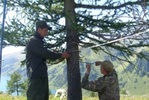 Измерение верхней границы леса